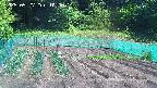 kannonmori-20250527100015.jpg