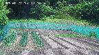 kannonmori-20250527111017.jpg