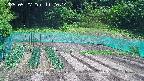 kannonmori-20250527112015.jpg