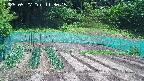 kannonmori-20250527113015.jpg