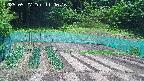 kannonmori-20250527114016.jpg