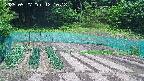 kannonmori-20250527121019.jpg