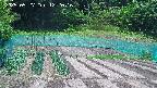 kannonmori-20250527122017.jpg