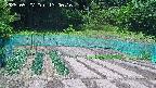 kannonmori-20250527130017.jpg