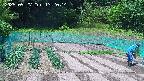 kannonmori-20250527132015.jpg