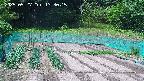 kannonmori-20250527133016.jpg