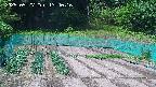kannonmori-20250527134017.jpg