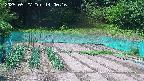 kannonmori-20250527140017.jpg