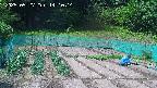kannonmori-20250527141015.jpg