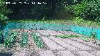kannonmori-20250527143017.jpg