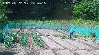 kannonmori-20250527145016.jpg