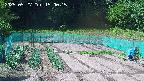 kannonmori-20250527150016.jpg