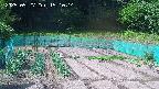 kannonmori-20250527151015.jpg