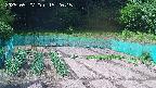 kannonmori-20250527152016.jpg