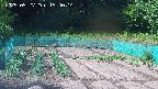 kannonmori-20250527154015.jpg