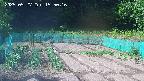 kannonmori-20250527155017.jpg