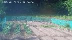 kannonmori-20250527161016.jpg