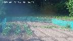 kannonmori-20250527162014.jpg