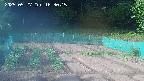 kannonmori-20250527163015.jpg
