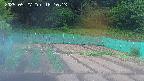 kannonmori-20250527181014.jpg