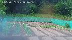 kannonmori-20250527184016.jpg