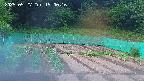 kannonmori-20250527190016.jpg