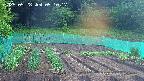 kannonmori-20250528051018.jpg
