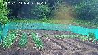 kannonmori-20250528053018.jpg