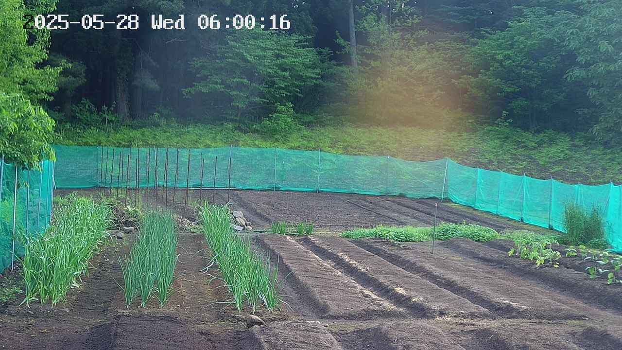 kannonmori-20250528060017.jpg