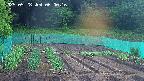 kannonmori-20250528060017.jpg