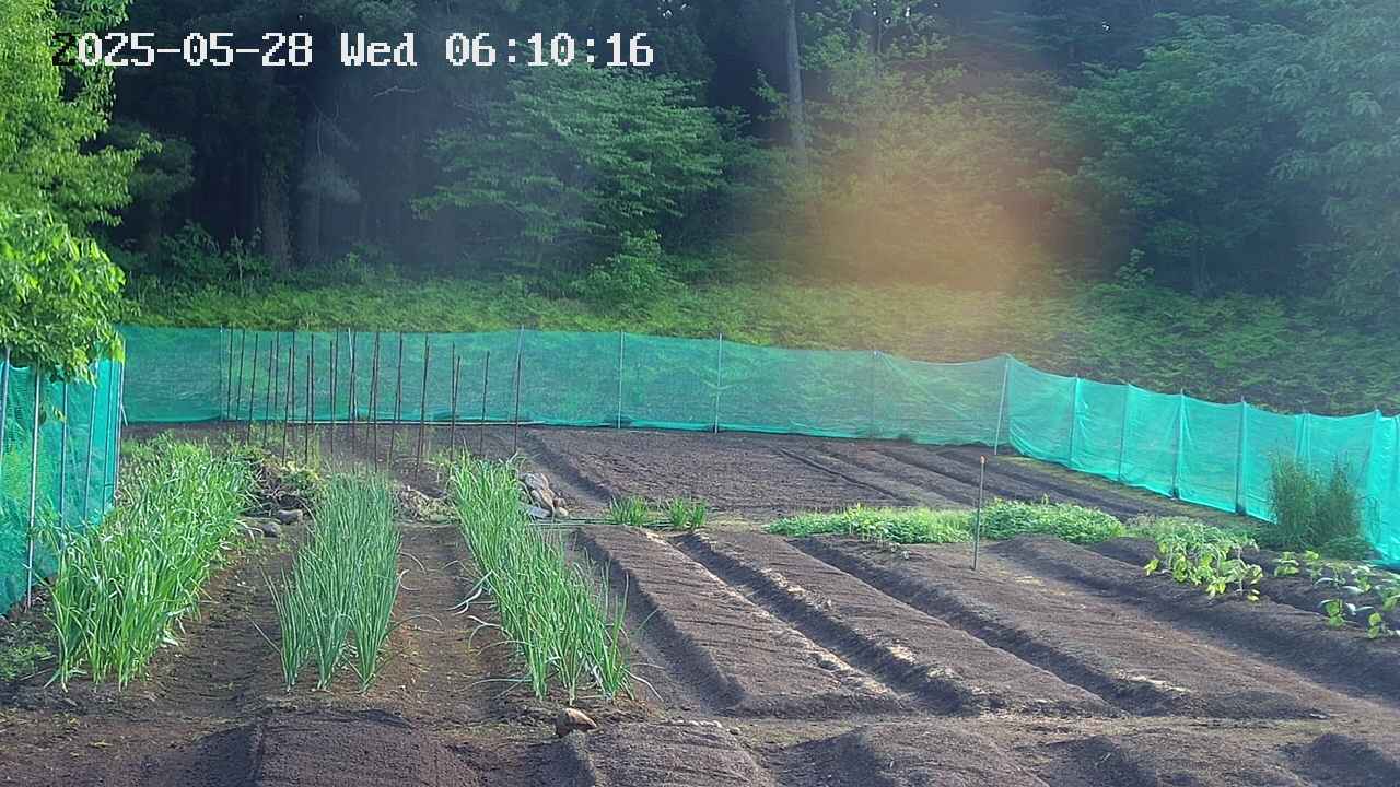 kannonmori-20250528061017.jpg