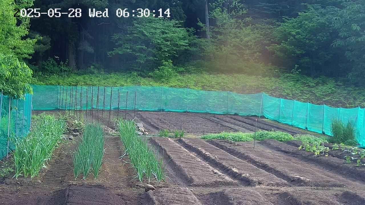kannonmori-20250528063015.jpg