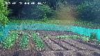 kannonmori-20250528063015.jpg