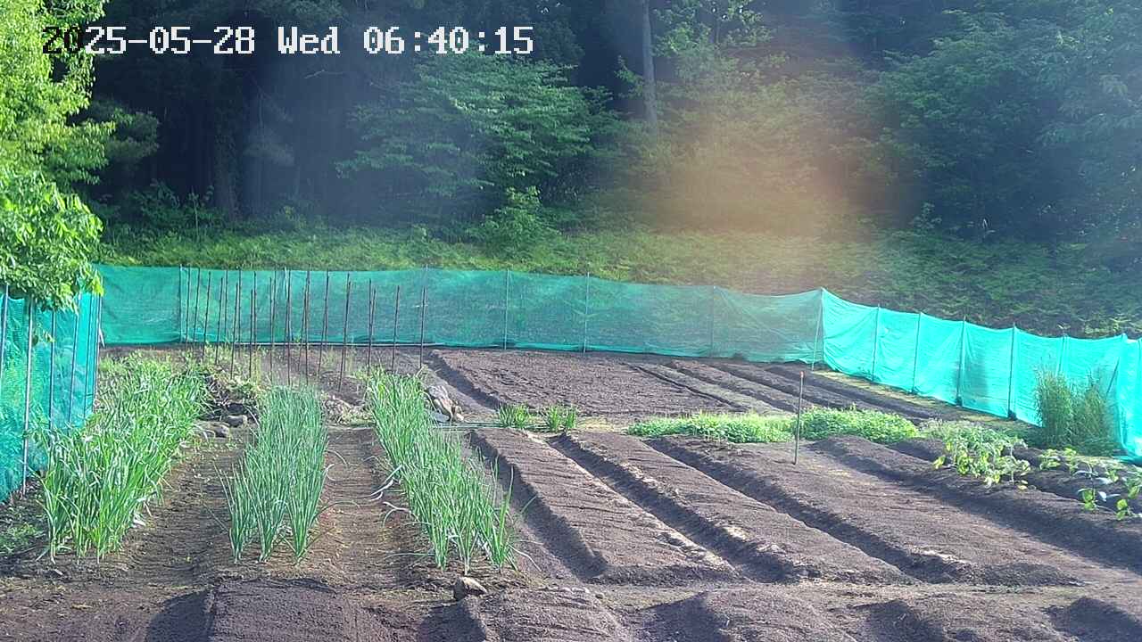 kannonmori-20250528064015.jpg