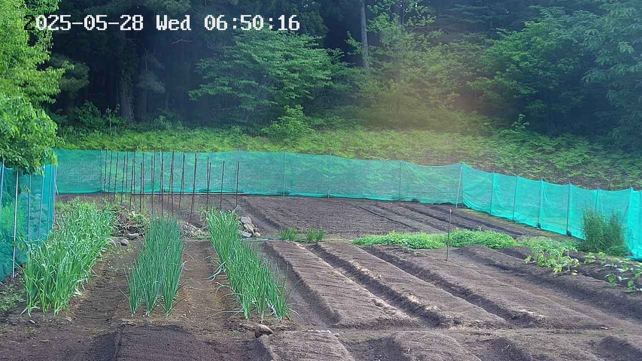 kannonmori-20250528065017.jpg