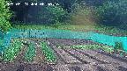 kannonmori-20250528065017.jpg