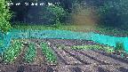 kannonmori-20250528070017.jpg