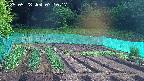 kannonmori-20250528071017.jpg