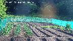 kannonmori-20250528073017.jpg