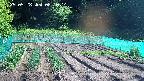 kannonmori-20250528081015.jpg