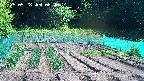 kannonmori-20250528084016.jpg