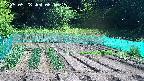 kannonmori-20250528085017.jpg