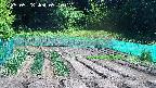 kannonmori-20250528091018.jpg