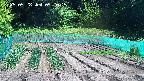 kannonmori-20250528092017.jpg
