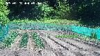 kannonmori-20250528093017.jpg