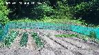 kannonmori-20250528102017.jpg