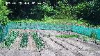 kannonmori-20250528105017.jpg
