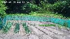 kannonmori-20250528111015.jpg