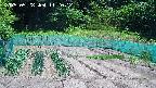 kannonmori-20250528112014.jpg