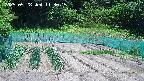 kannonmori-20250528113017.jpg
